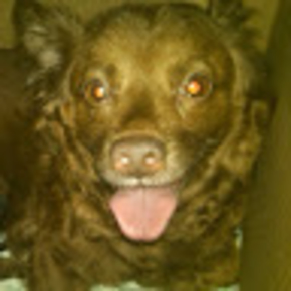 Meet your Posher, Ali - Picture 1 of 1